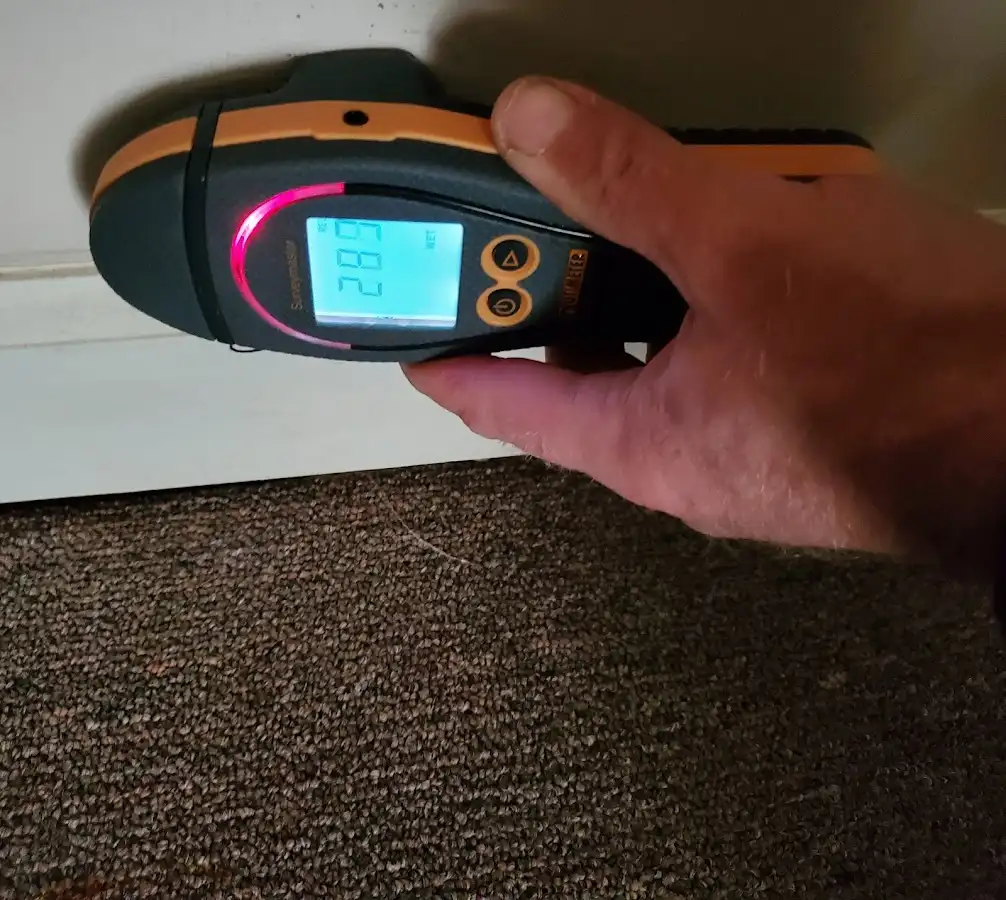 Moisture detection at baseboard during Burst Pipe Cleanup in Rochester